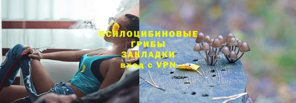 PSILOCYBIN Волосово