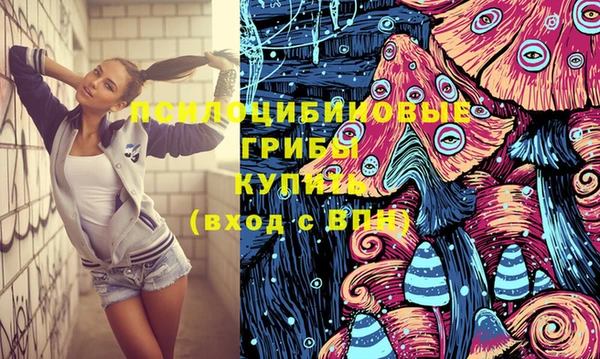 спиды Верея